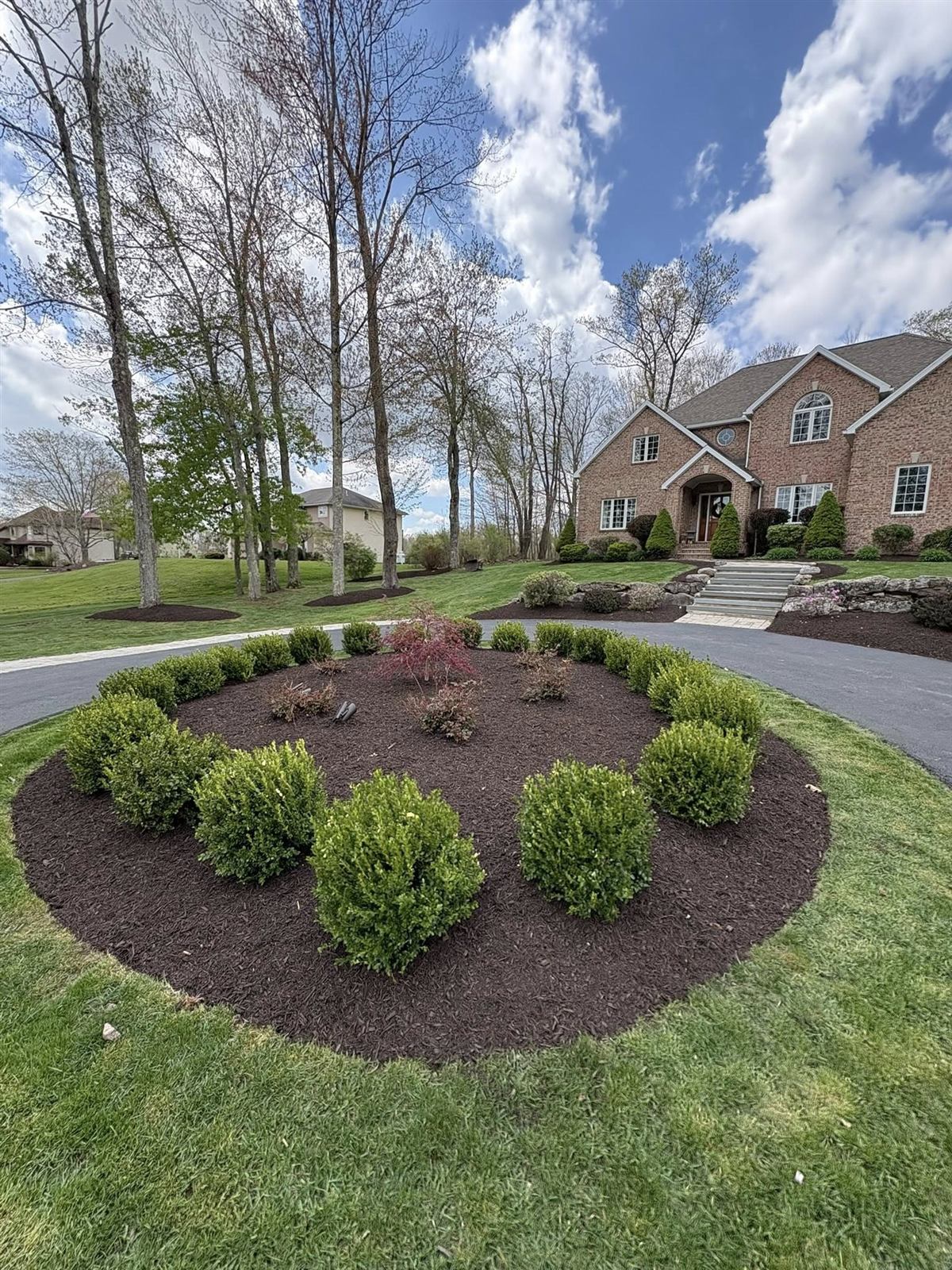Landscape design and install