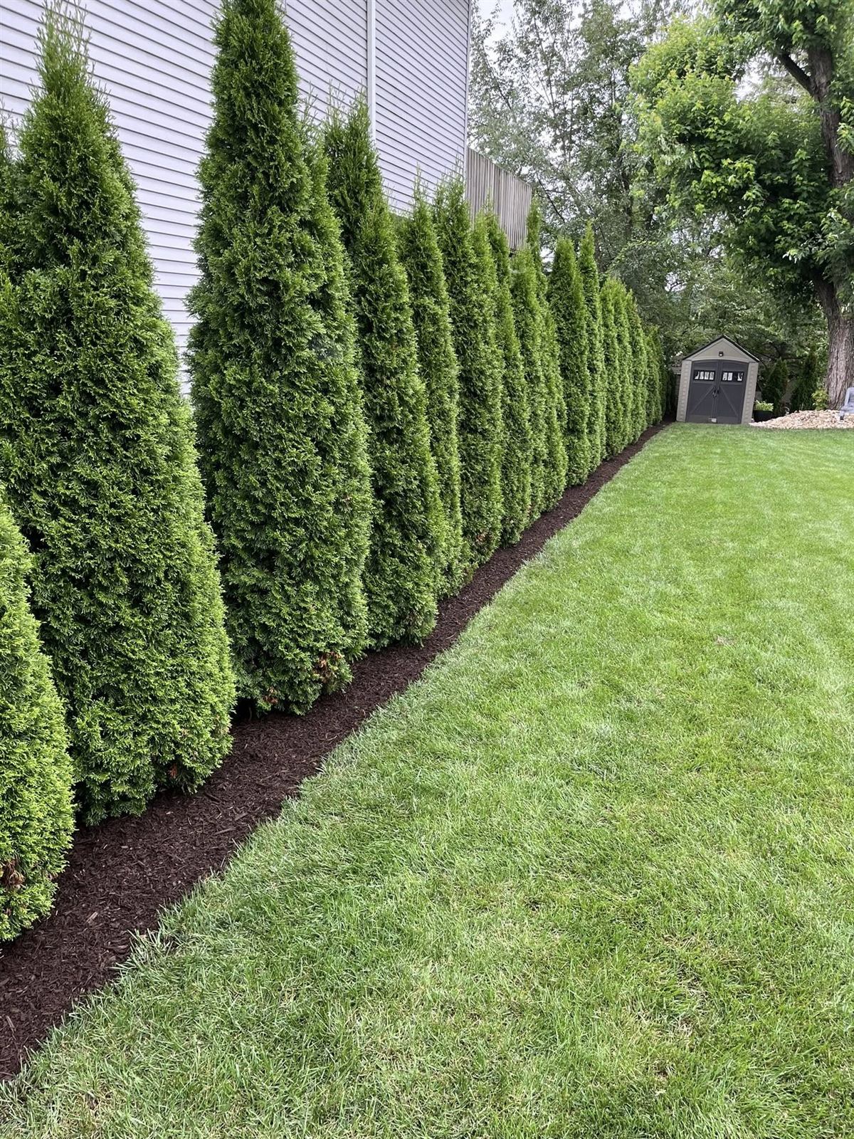 Lawn care and mowing